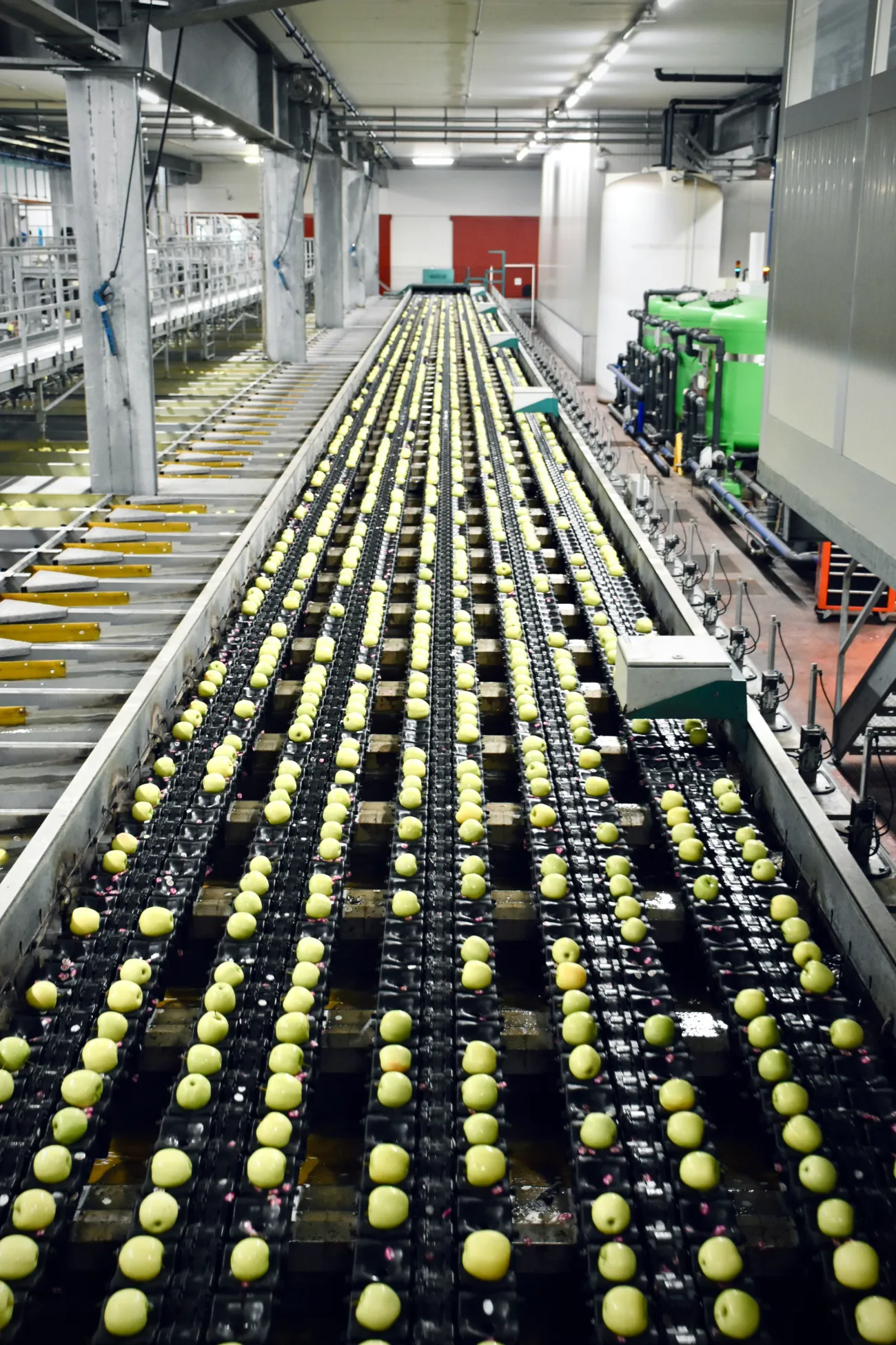 Bottles moving along a filling line